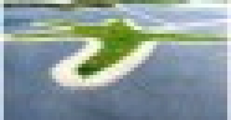 城市陽(yáng)臺(tái)榮膺“青島市園林綠化精品工程”稱號(hào)